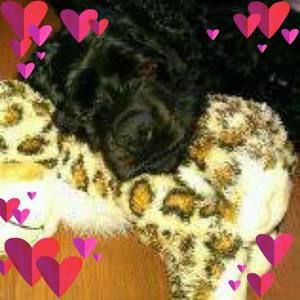 Meet your Posher, Lee